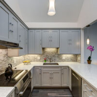 Transitional White & Gray Kitchen Cabinets